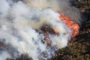 Onemi: 22 incendios forestales se mantienen activos en la zona centro-sur del país