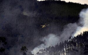 Región del Bio Bio en alerta roja por incendios forestales