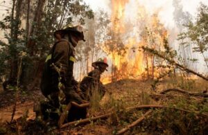 Incendios forestales activos afectan casi 400 hectáreas