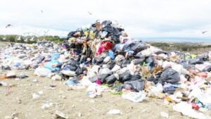 Pese a la ordenanza municipal, bolsas plásticas siguen siendo parte del paisaje en la ciudad