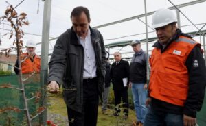 Mina Invierno tiene comprometida una producción de 3,3 millones de toneladas de carbón para 2015