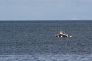 Misterioso hundimiento de lancha de turismo frente a la bahía de Punta Arenas