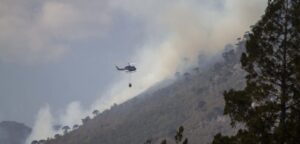 Incendio forestal en Reserva China Muerta en La Araucanía ya ha consumido más de 6.500 hectáreas