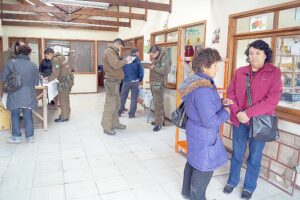Roban dinero y causan destrozos en Centro Hortícola en Puerto Natales