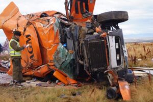 Camionero que volcó al chocar con un caballo fue trasladado a Punta Arenas