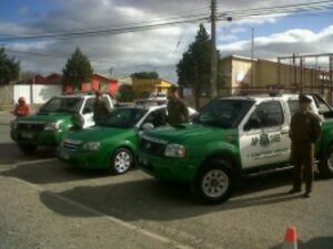 Joven denunció daños y sustracción de especies desde su auto