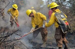 Decretan alerta roja en Puerto Varas por incendio forestal