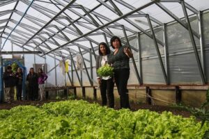 Expo mundo rural se realizará 14 y 15 de marzo