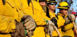 Onemi y Conaf informan de 75 incendios forestales activos en Chile