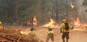 Declaran Alerta Amarilla en la región de Valparaíso por incendios forestales
