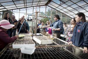 Centro de Horticultura apoya el desarrollo alimentario de familias vulnerables de Punta Arenas