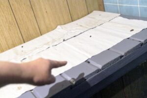 Plaga de roedores sume en la desesperación  a familias de población Las Naciones