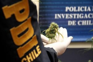 PDI detuvo a dos sujetos que portaban marihuana