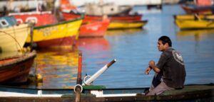 Acogen a trámite querella por supuesto soborno de Grupo Angelini a 5 senadores por ley de pesca
