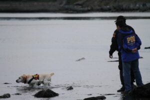 Con perro especialista en búsqueda rastrean a trabajador desaparecido