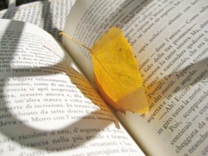 Taller de creación poética y declamación