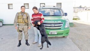 Recuperan perro que había sido sustraído a su dueño