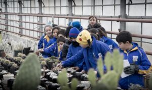 Carrera de Agronomía acercó el mundo de las plantas a la comunidad