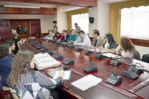 Autoridades magallánicas hicieron observaciones a proyecto de ley Ricarte Soto