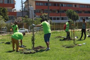 INJUV y CONAF abren postulaciones para proyectos de arborización