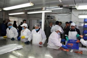 Cifras de empleo muestran nueva baja en desocupación femenina para la Región
