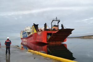 Salida de ganado desde Magallanes con retraso “crítico” por alta demanda a Navimag