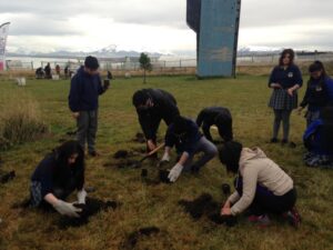 Se plantaron 150 árboles en el Campus de Puerto Natales