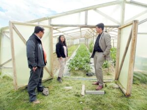 Pretenden mejorar la productividad de  los predios adquiridos por Conadi