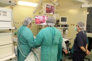 Surge proyecto para incorporar donación cruzada de órganos