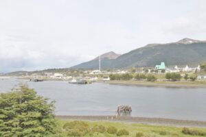 Crítico es el estado de salud de profesora afectada por posible meningitis en Puerto Williams