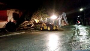 Municipalidad despejó vías tras caída de árbol y acumulación de hielo