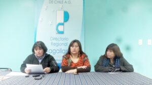 Comunal de Profesores llama a autoridades  locales a ser consecuentes con el movimiento
