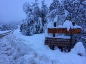 Hasta 10 grados bajo cero se esperan para algunas comunas de Magallanes