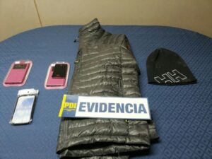 PDI capturó a pareja que se dedicaba a hurtar especies