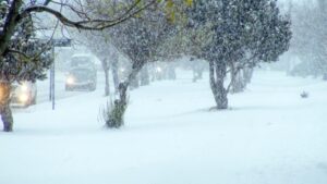 Precipitaciones en 2015 ya lograron superar  lo caído en un año normal