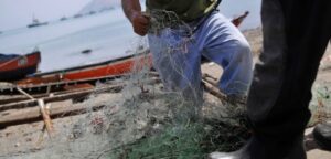 Pescadores de la zona sur austral solicitarán aumentar cuota de pesca del congrio dorado