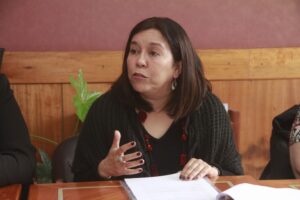 “El Colegio de Profesores y académicos tienen la posibilidad de hacer todos los aportes posibles”