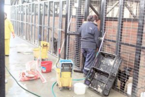 A una semana de denuncia revisan canil municipal y lo encuentran en óptimas condiciones