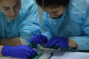 Estudiantes de Magallanes participan en talleres de Biotecnología y Neurociencia
