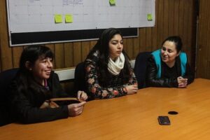 Cuatro jóvenes magallánicos viajan a voluntariado en reserva nacional de la Quinta Región
