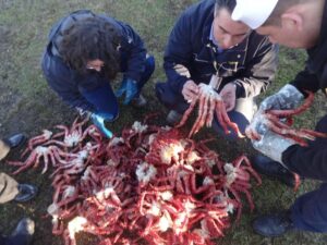 Amarradas a una boya la Armada encontró 18 sacos con centolla procesada