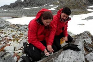 Inach financiará 8 proyectos para investigación Antártica