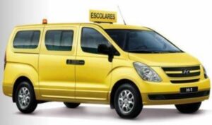 Transportes abre licitación de servicios gratuitos de locomoción escolar en la región de Magallanes