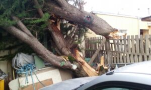 Municipalidad de Punta Arenas desplegó diversas acciones de emergencia ante riguroso temporal
