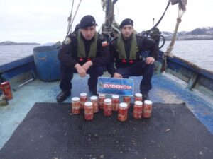 Vuelven a incautar centolla en provincia de Tierra del Fuego