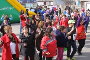 Exitosa primera feria socioambiental de Punta Arenas