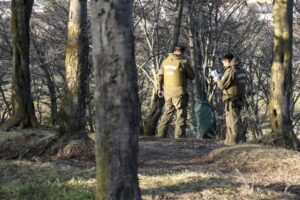 Hombre de 56 años se quitó la vida al interior del Parque María Behety