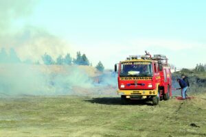 Incendio de pastizal y madera movilizó a Bomberos