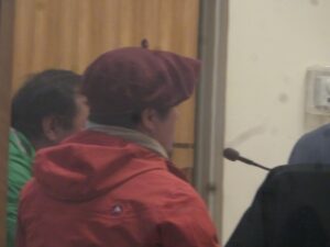 Formalizados por comercio clandestino de carne de vacuno en Puerto Williams
