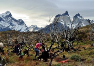 CONAF invita a trabajar en el Programa de Voluntarios del Parque Nacional Torres del Paine